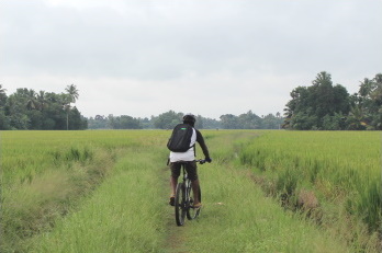 Alappuzha Cycle Tours